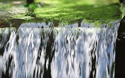 Nieuw: High Performance Academy