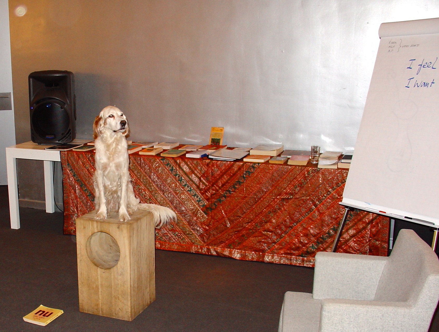 Hond bij De Hamermolen