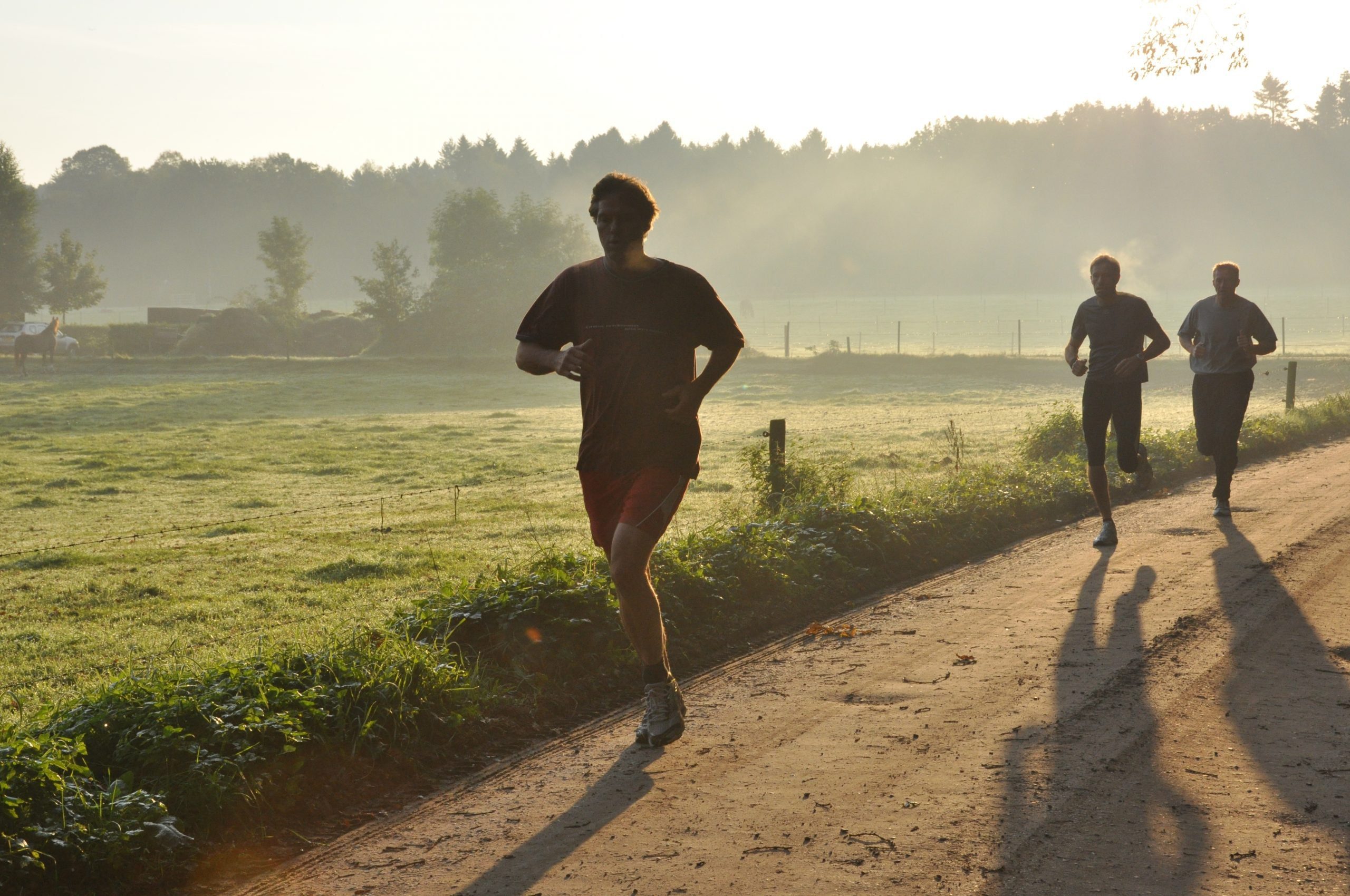 vitaliteit training leiderschap