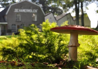 Leiderschapsretraite